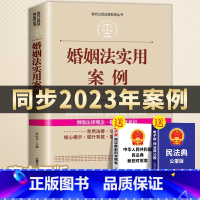 [正版]全案例讲解婚姻法实用案例以案释法解读婚姻家庭法婚姻法同步2023年案例结婚离婚子女财务纠纷司法解释条文婚姻家庭