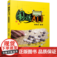 围棋入门 微视频版