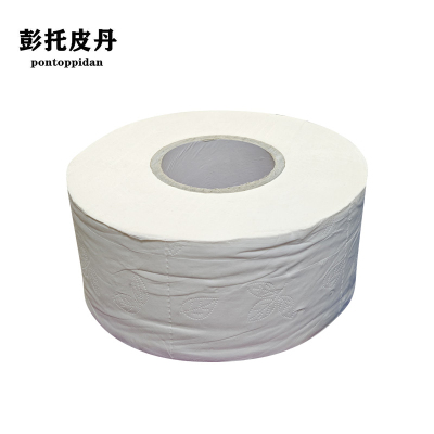 大盘纸 800g*12卷 箱