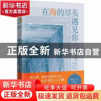 正版 在海的尽头遇见你 (法)卡特琳·普兰著 人民文学出版社 97870