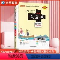 文言文(统编版) 初中通用 [正版]2025新版学霸笔记初中文言文统编版文言文全解阅读译注与赏析语文七八九年级上下册必背