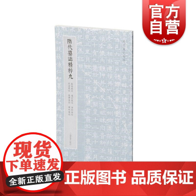 隋代墓志精粹九袁协虞弘李和吴通朱宝杨约 本社编上海书画出版社精选书法资料鉴赏