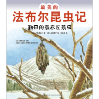 正版新书]勤奋的蓑衣匠蓑虫-最美的法布尔昆虫记小林清之介97875