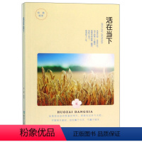 [正版] 活在当下 晓霞 书店 人生哲学书籍