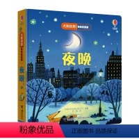 [正版]接力出版社尤斯伯恩偷偷看里面 夜晚 1-4岁宝宝启蒙认知绘本早教经典科普立体翻翻书英国usborne科普百科亲