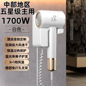 XIAOYA壁挂式吹风机免打孔民舍酒店宾馆浴室便携式轻便可定制LOGO