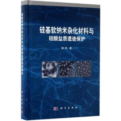 硅基软纳米杂化材料与硅酸盐质遗迹保护