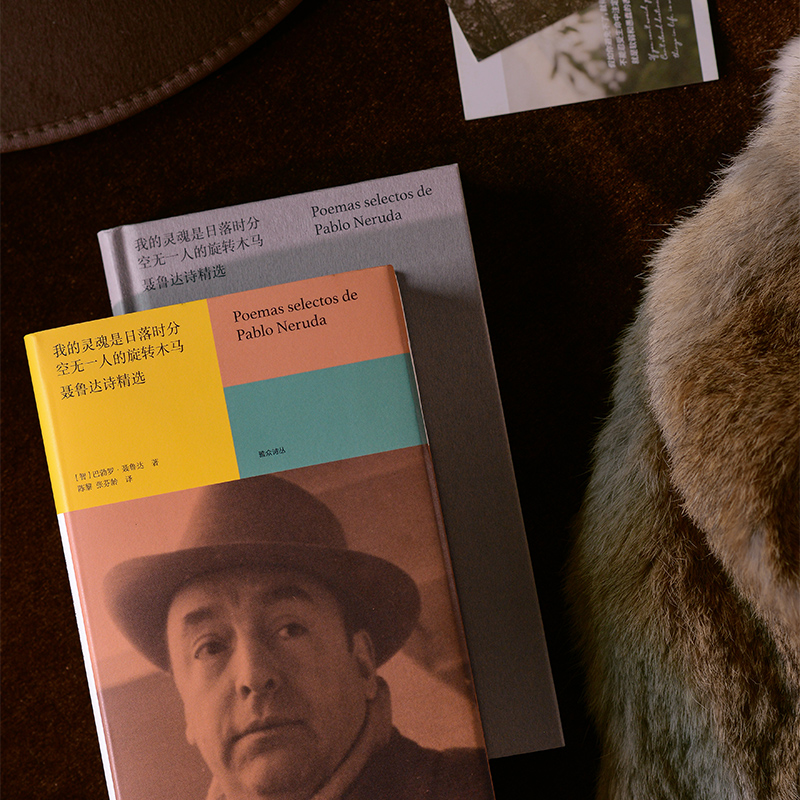 我的灵魂是日落时分空无一人的旋转木马:聂鲁达诗精选/[智利]巴勃罗·聂鲁达