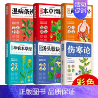[全6册]中医药六大名著 [正版]中医推拿按摩书4册零基础学推拿艾灸刮痧拔罐取穴全身穴位图中医养生保健书籍学养生中医养生