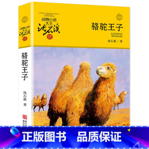 骆驼王子 [正版]完整版骆驼王子全本沈石溪的图书籍动物小说大王品藏系列小学生四五六年级儿童文学作品珍藏大全全集1全套单本