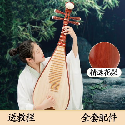 红木琵琶炎黄乐器初学入门儿童成人花梨木教学考级演奏小琵琶琴_进阶儿童花梨木素面