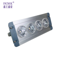 盛王盛荣 LED 顶灯(应急)