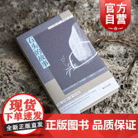 石头的故事 王瑾傅圣迪中国古代传说与红楼梦西游记水浒传艺文志中国神话古代传说经典著作中国文学批评 上海文艺出版社