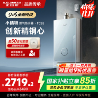 史密斯佳尼特[小精钢TCS5]16升精钢燃气热水器 国家补贴 JSQ31-TCS5 安全守护 持久恒温大水量 新品