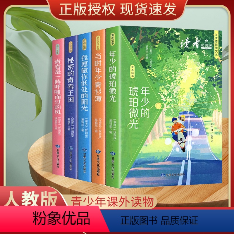 [正版]2024新版正青春当时年少青衫薄青春是一阵呼啸而过的风年少的琥珀我愿做你低处的阳光秘密的青春王国学霸组合老师全