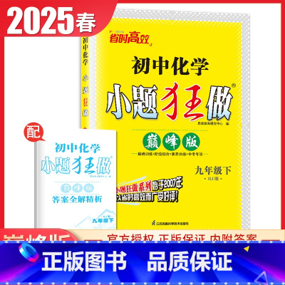 [巅峰版]九年级下册化学沪教版 九年级下 [正版]2025初中小题狂做提优版巅峰版九年级上册下册语文数学英语物理化学同步
