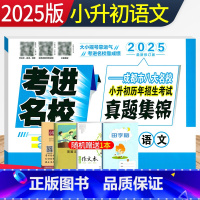 语文 [正版]2025版考进名校小升初真题卷语文 成都市八大名校小升初历年招生考试真题集锦 四川重点中学六年级小考总复习