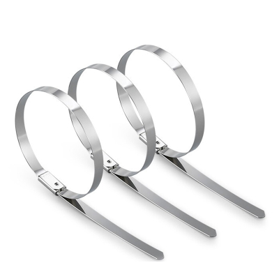 万梓 不锈钢扎带 10*650mm 根