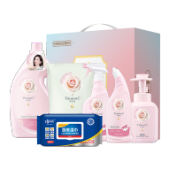 阿道夫蒂姆森家庭清洁6件套-DMS250818001