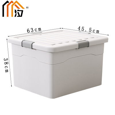 汐 整理箱 63cm 个