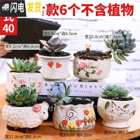 三维工匠多肉花盆陶瓷粗陶透气大口径大号盆栽创意小盆栽 款40套装040(6个) 中小花盆容器