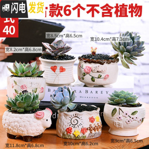 三维工匠多肉花盆陶瓷粗陶透气大口径大号盆栽创意小盆栽 款40套装040(6个) 中小花盆容器