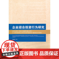 企业迎合投资行为研究
