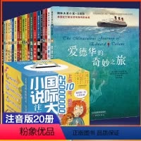 [注音版 20册]国际大奖小说 [正版]国际大奖小说注音版全套共5册 苹果树上的外婆亲爱的汉修先生一百条裙子6-12
