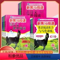 古诗文阅读 七年级/初中一年级 [正版]2024新版新黑马阅读 现代文课外阅读 初中七7八8九9年级上下册通用 初中语文