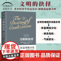 文明的抉择 迈克尔·赫德森 著 全球南方思想丛书的开山之作 在资本金融化的进程中危机与灾难接踵而至人类是否已经别无选择