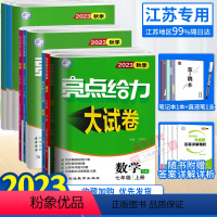 语数英物化 江苏可用 化学 人教 九年级上 [正版]任选2023秋亮点给力大试卷语文数学英语物理化学七八九年级上下册江苏