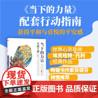 当下的力量实践手册(白金版) 中信正版