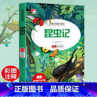昆虫记 [正版]法布尔昆虫记彩图注音版三年级下册一年级阅读课外书必读二年级原著完整版小学生注音版大语文学校儿童科普读物故