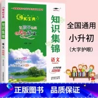 语文知识集锦 小学通用 [正版]知识集锦语文全国升级版2024版培优宝典小学1-6年级语文知识大全基础知识速查手册小升初