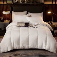 婵思 立体秋冬被加厚保暖被芯