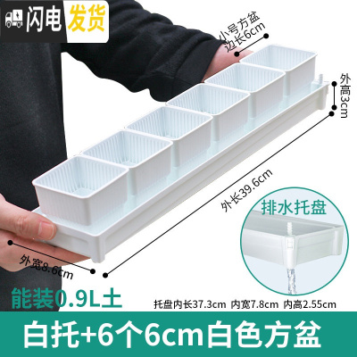 三维工匠控根多肉花盆套装组合塑料创意个性简约透气北欧风肉肉小盆器 [窄排水白托]+6个白盆(6cm盆) 中小花盆容器