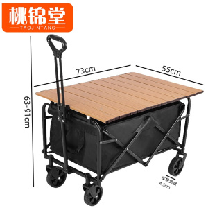 桃锦堂露营车