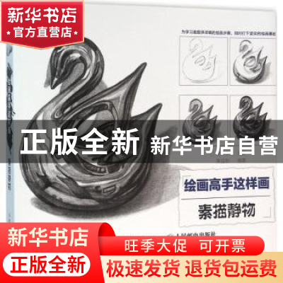 正版 绘画高手这样画:素描静物 爱林文化 人民邮电出版社 9787115