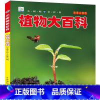 植物大百科 [正版]战车大百科注音版小眼睛看世界兵器武器枪械坦克装甲车导弹小学生一二三年级课外阅读书籍军事百科全书科普绘