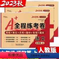 3本:[人语+人数+人英] 六年级上 [正版]2024春 全程练考卷 六年级上册下册数学人教版语文单元测试卷期中期末考试