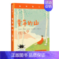 童年的山 [正版]不再隐身的男孩 2024暑期阅读书籍五年级小学生课外阅读书籍儿童文学必读经典 阿米娜卢克曼道森著 出版