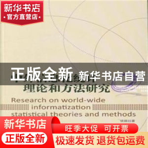 正版 中外信息化统计理论和方法研究 徐颖著 电子工业出版社 9787