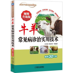 [M]牛羊常见病诊治实用技术-9787111594321