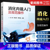 消化内镜入门及 [正版]消化内镜入门及规范操作 王雯 食管胃十二指肠结直肠常见疾病内镜下表现 消化内镜胃镜和肠镜基础知