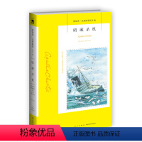 [正版]阿加莎56:暗藏杀机(2版) 阿加莎克里斯蒂全集系列56 汤米和塔彭丝系列侦探推理小说 午夜文库经典书籍 新星