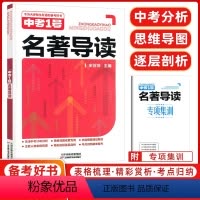 中考1号 名著导读 天津 [正版]天津中考1号名著导读语文名著天津备考好书中考一号逐层剖析附赠专项集训天津科学技术出版社