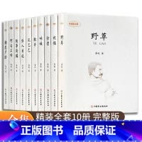 [可备注不备注随机发]任选六本 [正版]鲁迅全集 小说 孔乙己朝花夕拾故乡阿Q正传狂人日记呐喊彷徨祝福野草 名家散文作品