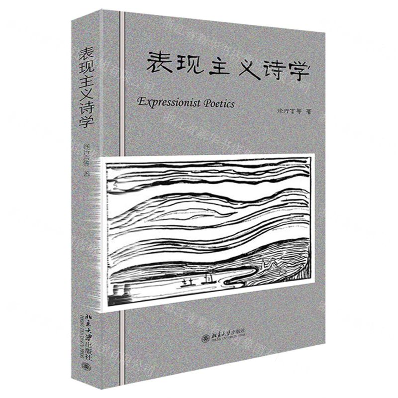 [N]表现主义诗学-9787301337363