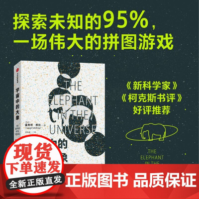 宇宙中的大象 霍弗特席林著 暗物质的百年探索之路 和科学家一同领略人类智力探索的认知极限