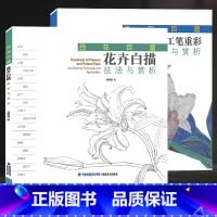 [正版]百花百扇全套2册 花卉白描技法与赏析+花卉工笔重彩技法与赏析杨佩璇工笔画花卉技法白描底稿勾线稿 中国现代花卉画